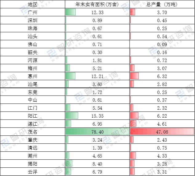 广东省化肥企业数量概览