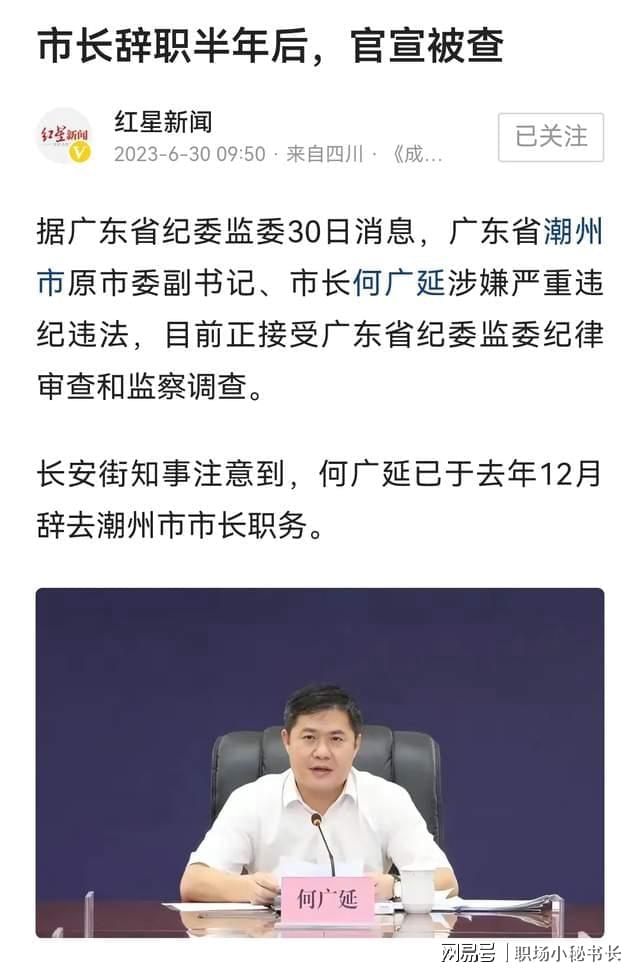 广东省周桂青简历深度解析